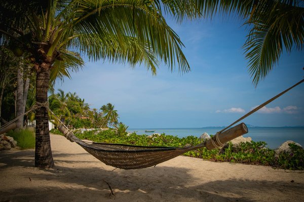 Unlock the Treasures of History: The Ultimate Guide to Authentic Guided Tours of the British East India Company